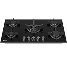 گاز-صفحه-ای-داتیس-G501